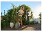 Femme s'occupant de tomates en pot et homme avec pulvérisateur dorsal sur la terrasse.