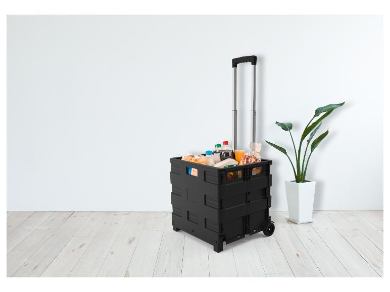 Un chariot pliable noir avec des courses et une plante sur un sol en bois.