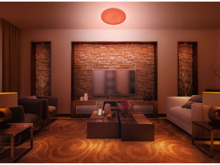 Ga naar volledige schermweergave: LIVARNO home Ledplafondlamp Smart Home - afbeelding 10