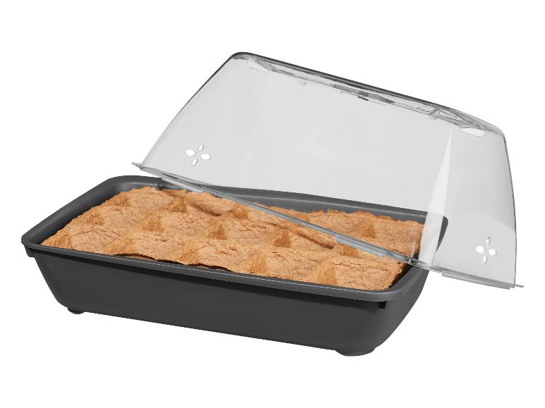 Un semis gris avec un couvercle transparent et une pastille de semis marron.