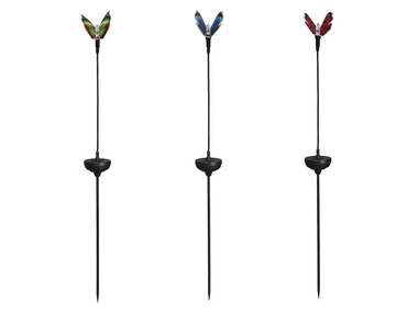 LIVARNO home Decoratieve solarlamp