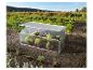 Tuinkas met open dak, gevuld met sla, in een moestuinbed.