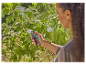 Sécatuer Gardena utilisée pour tailler des arbustes.