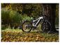 Vélo électrique tout-terrain Dice dans un décor automnal.