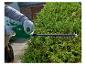 Groene elektrische heggenschaar snoeit een thuja-haag.