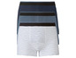 navy/bleu clair/blanc