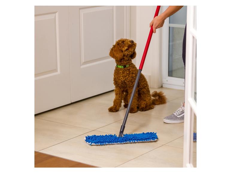 Een persoon veegt de vloer met een blauwe dweil terwijl een bruine hond toekijkt.