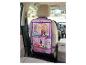 Disney Frozen autostoel organizer met zakken en Anna en Elsa figuren.