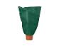 Plante en pot avec housse de protection verte