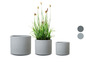 Trois pots de fleurs ronds de couleur grise avec une plante