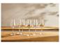Six verres à vin sur une table en bois, certains remplis de vin blanc.