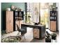 Kantoor met bureau, stoel, zwarte en houtkleurige kasten en planken.