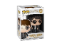 Funko Pop! Harry Potter 01 vinylfiguur in verpakking.