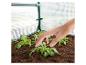 Hand verzorgt jonge planten in een minikas