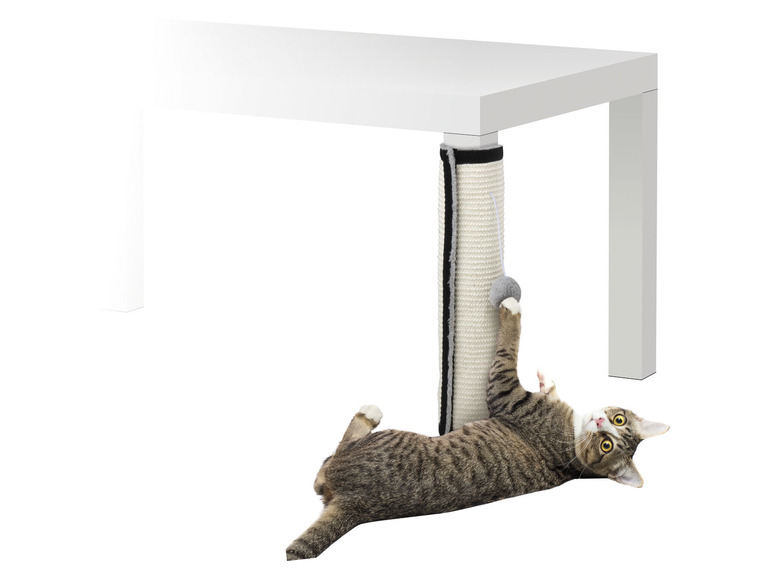 Ga naar volledige schermweergave: zoofari® Krabplaat of set van 2 krabmatten voor tafel- en stoelpoten - afbeelding 9