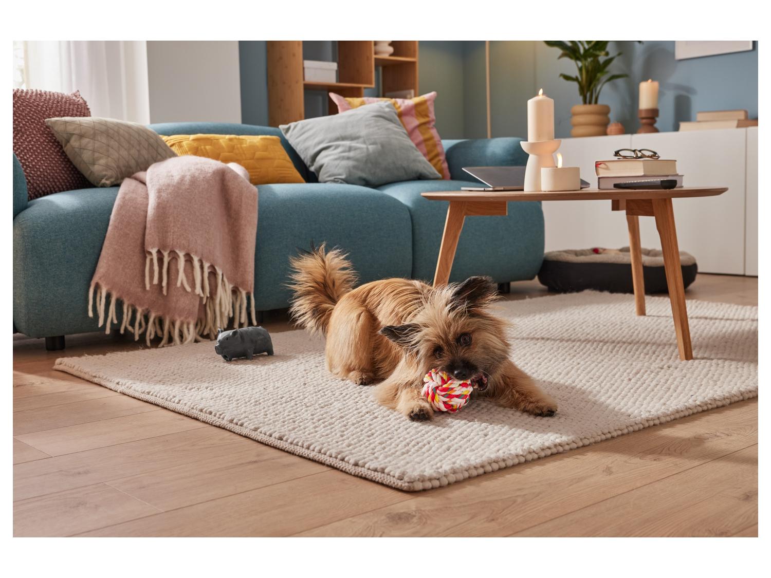 5x Beste Apporteerspeelgoed voor je Hond - [februari Update