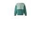 Sweat-shirt enfant bicolore vert à manches longues, vue de dos.