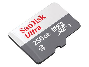SanDisk Carte mémoire microSDXC Ultra Lite