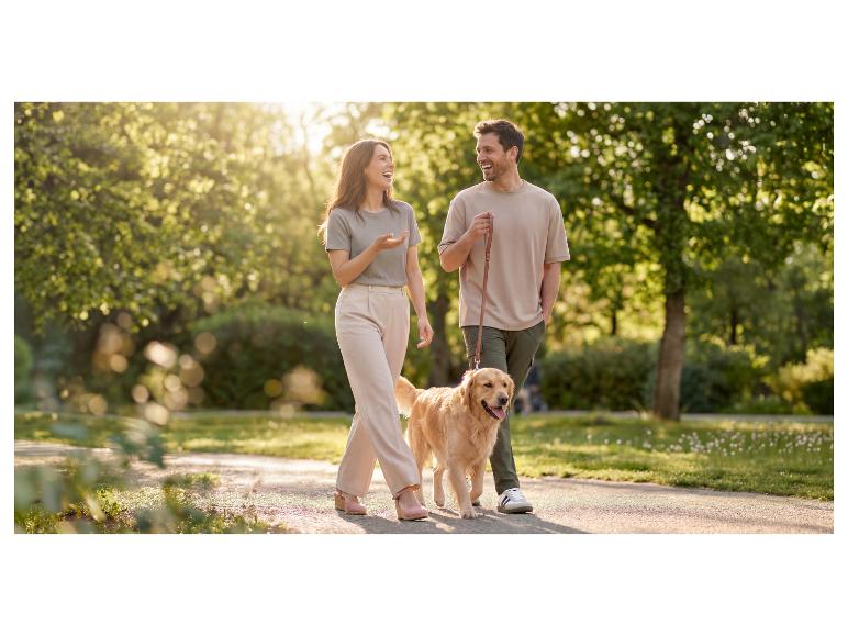 Un couple promène un golden retriever dans un parc, profitant d'une journée ensoleillée.