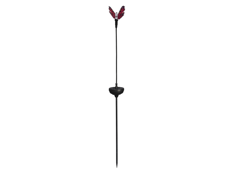 Ga naar volledige schermweergave: LIVARNO home Decoratieve solarlamp - afbeelding 12