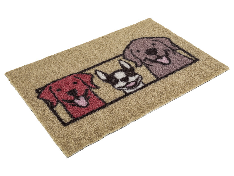Ga naar volledige schermweergave: LIVARNO home Deurmat, 40 x 60 cm - afbeelding 9