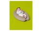 Lachende baby op beige voedingskussen, met groen speeltje.