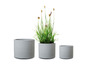 Trois pots de fleurs ronds gris avec une plante.