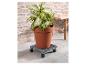 Een plantenkarretje op wielen, met een terracotta pot en een plant.