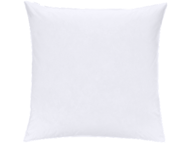 LIVARNO® Oreiller en plumes et duvet, 60 x 60 cm