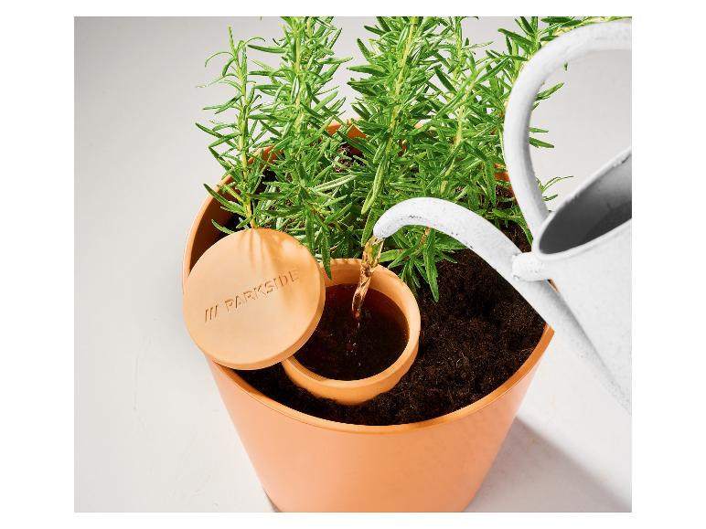 Rozemarijnplant in een Parkside pot met zelfgiet systeem.