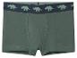 Boxer vert pour garçon avec motif tricératops à la taille