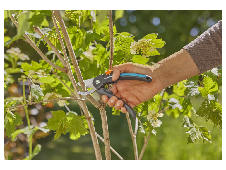 Sécatuer Gardena utilisée pour tailler un arbuste.