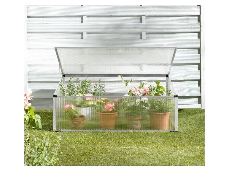 Aluminium en polycarbonaat kas met potplanten op groen gras tegen een witte muur.