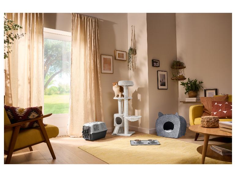 Chat sur arbre à chat, caisse de transport, gamelles et panier pour chat dans le salon.