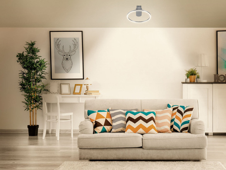 Ga naar volledige schermweergave: LIVARNO home Ledplafondlamp - afbeelding 12