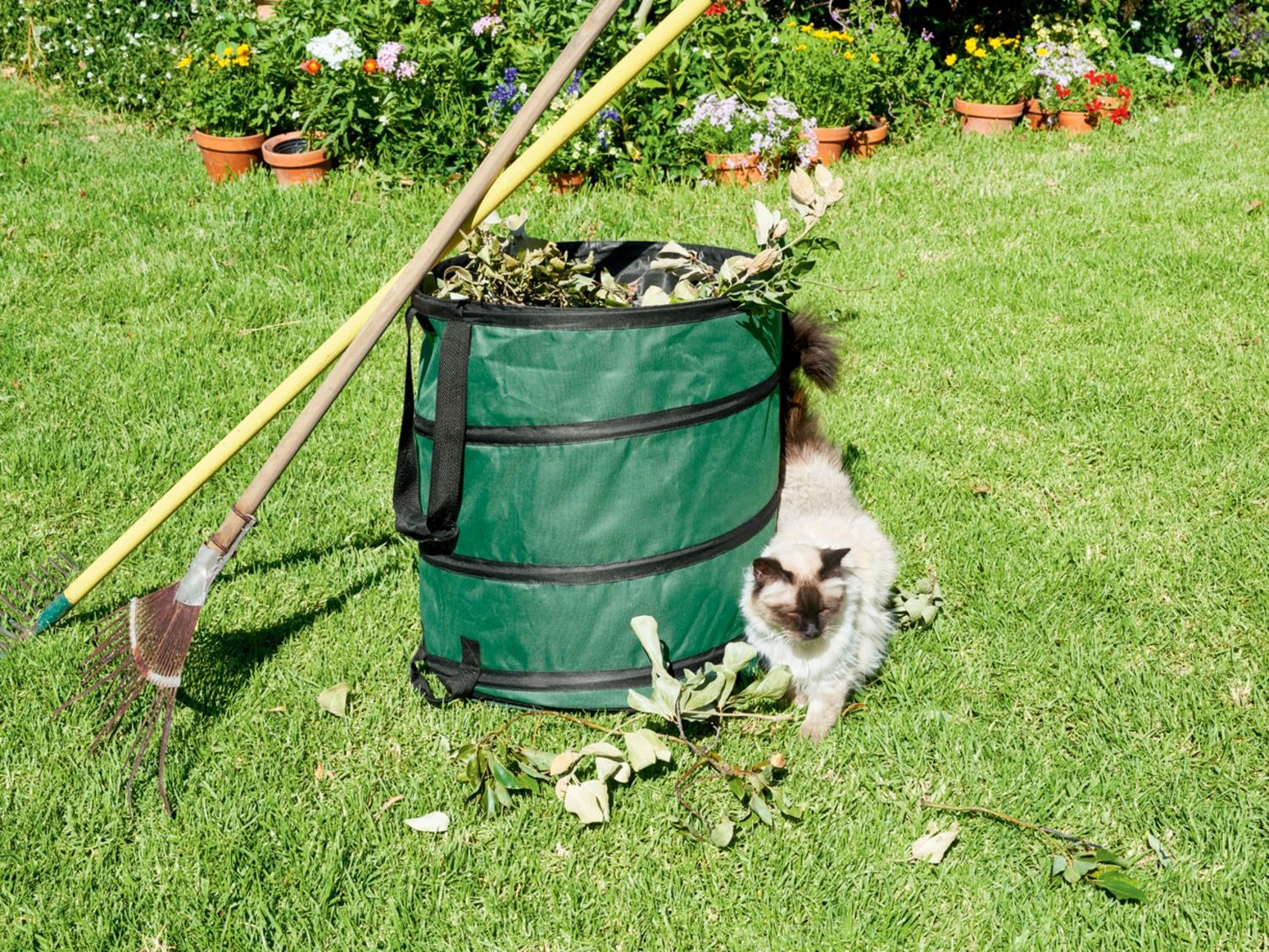 sac dechet vert lidl