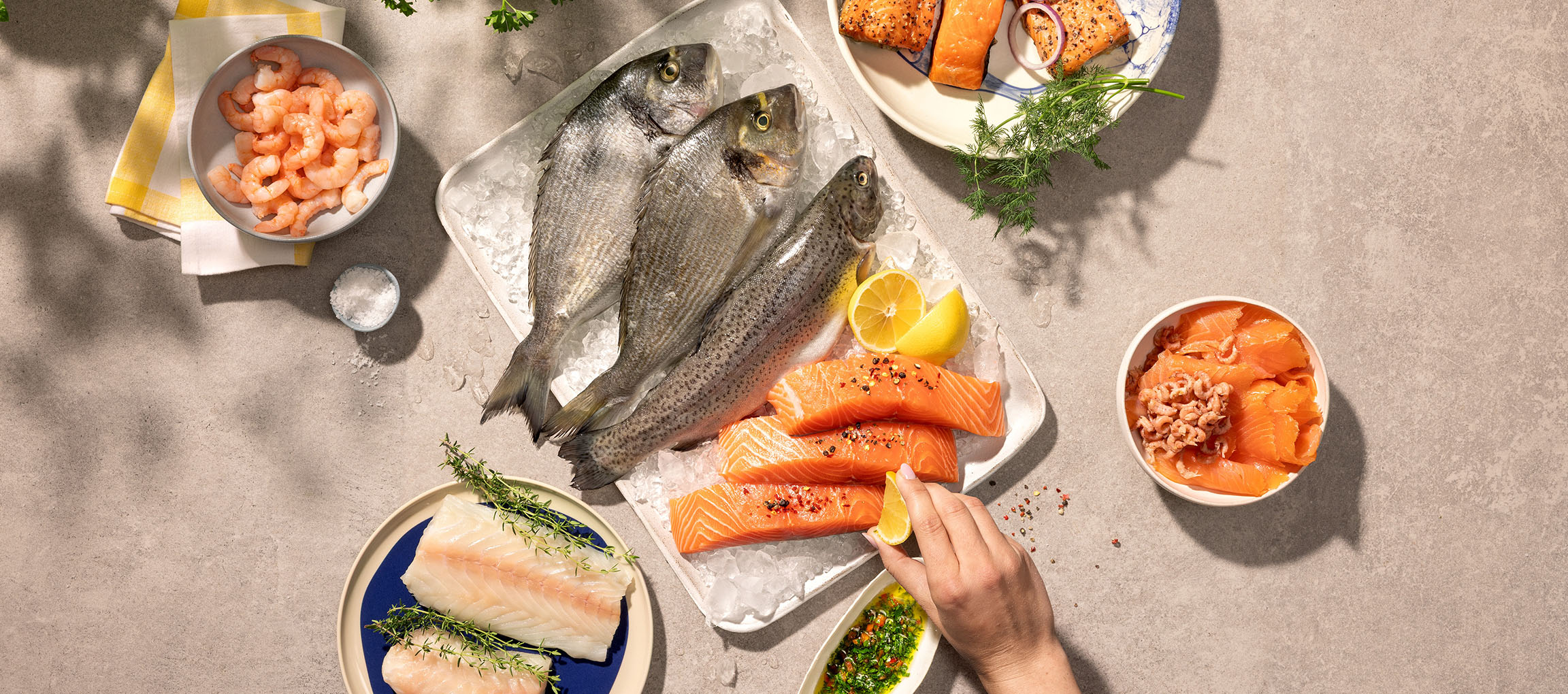 Assortiment verse zeevruchten, waaronder hele vis, zalmfilets en garnalen, op ijs.