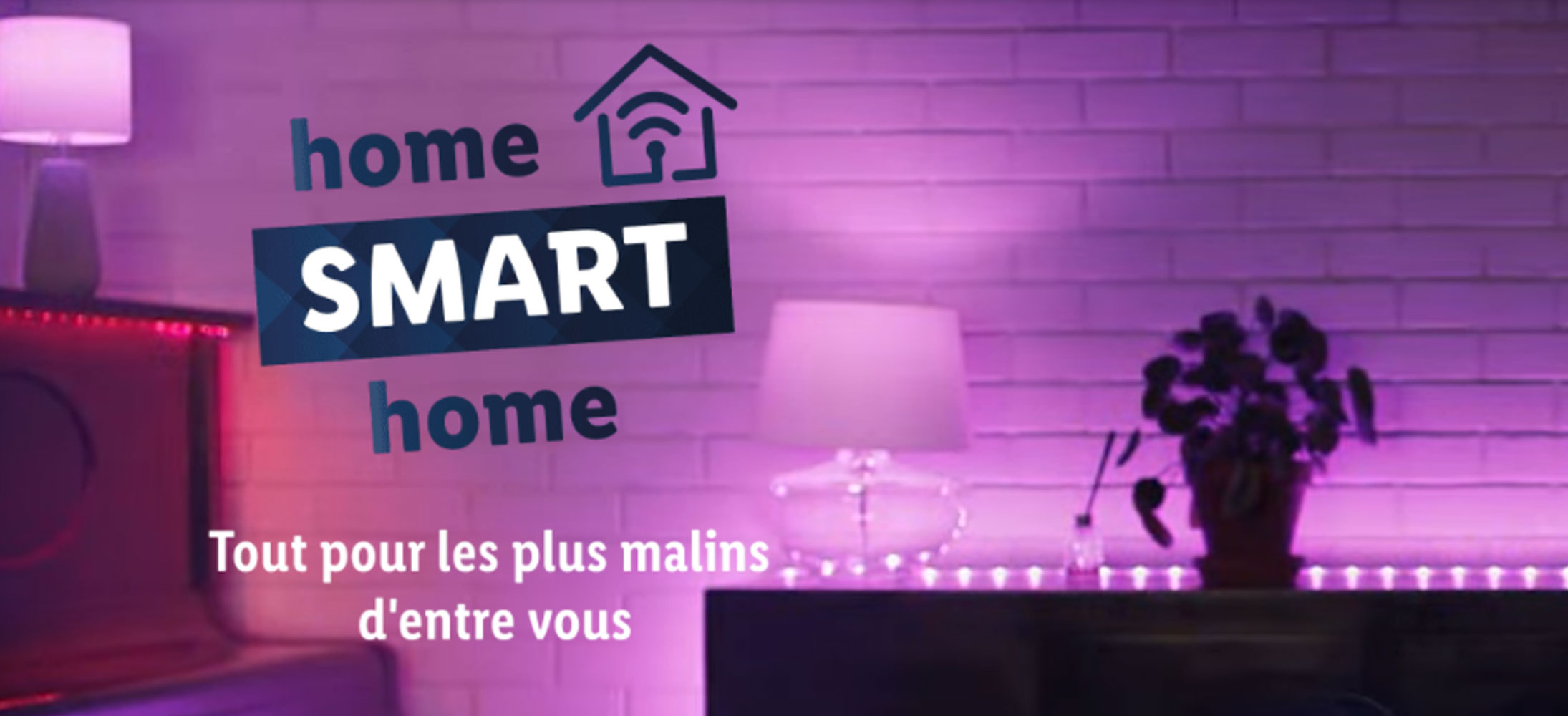 Smart home   