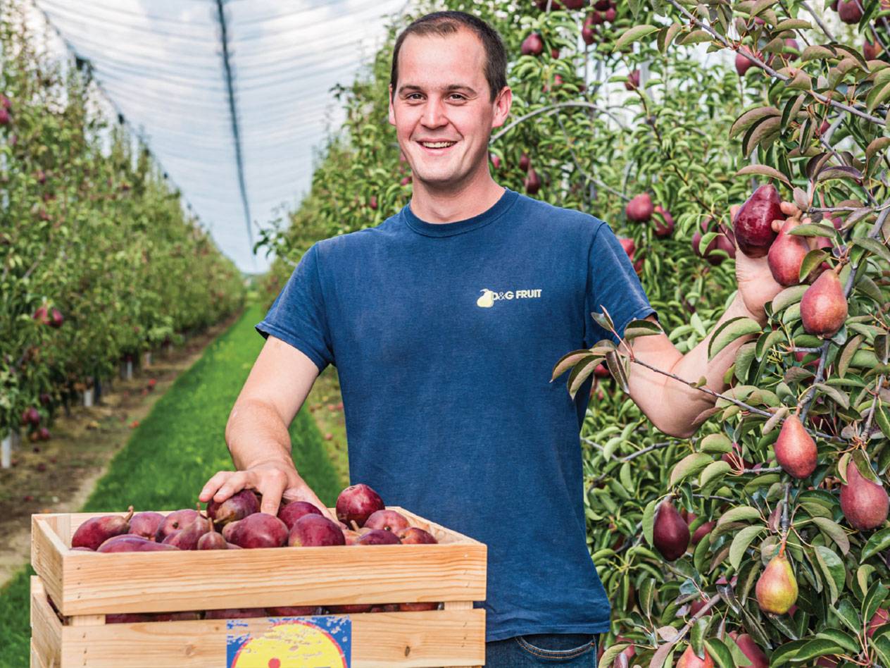 Fruit- en groentenexportbedrijf Vergro