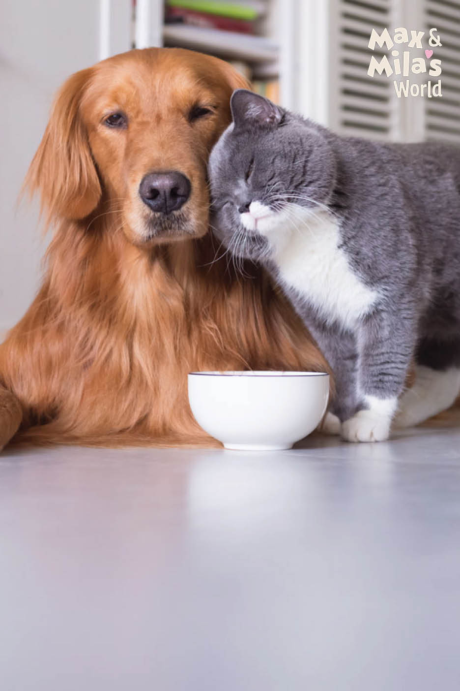 Een hond en een kat knuffelen naast een witte voerbak.
