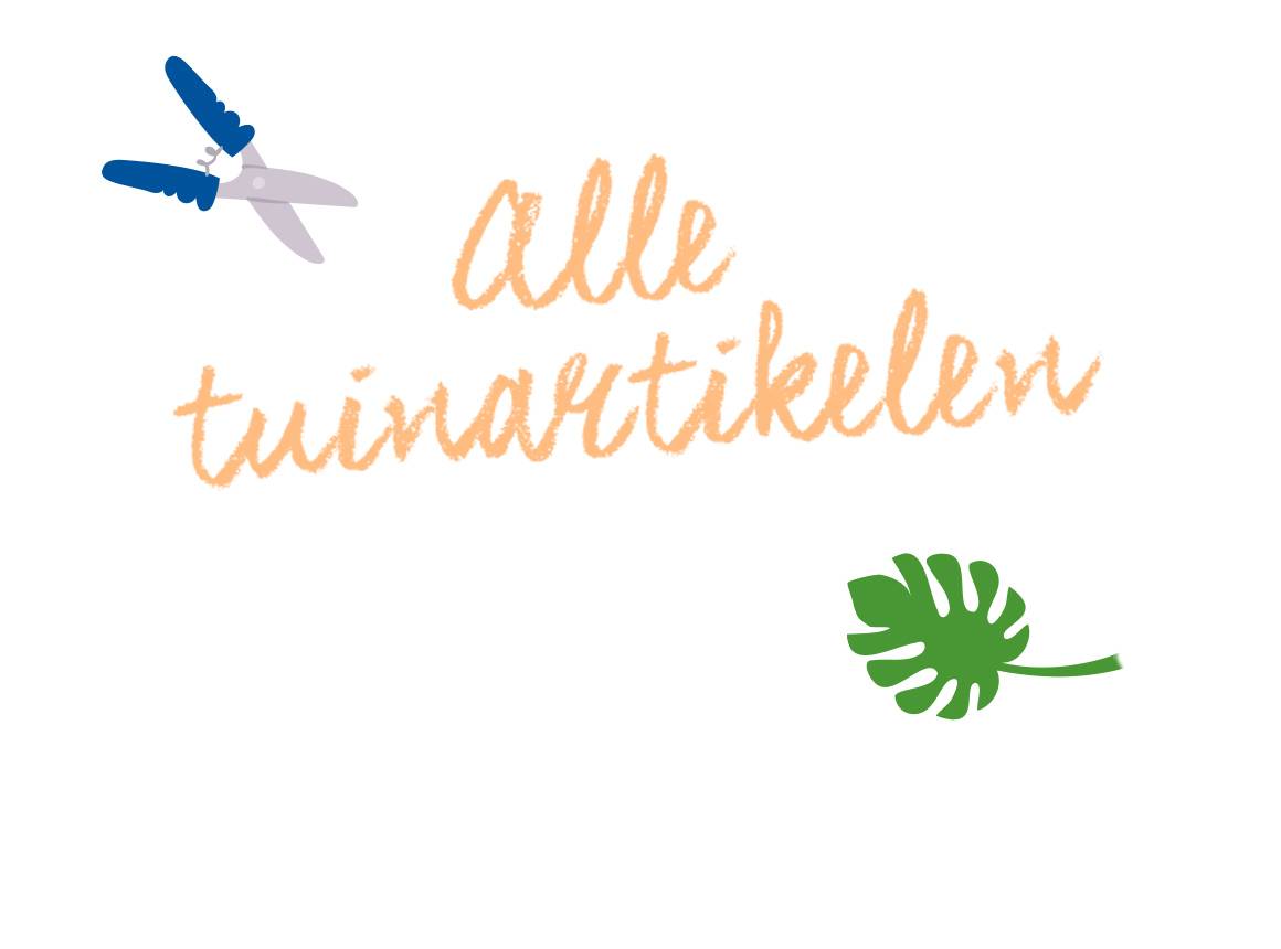 Bekijk alle artikelen