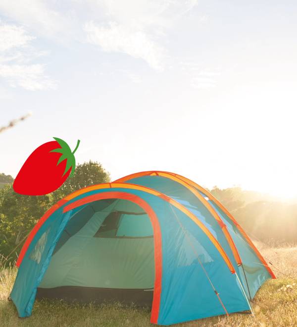Camping