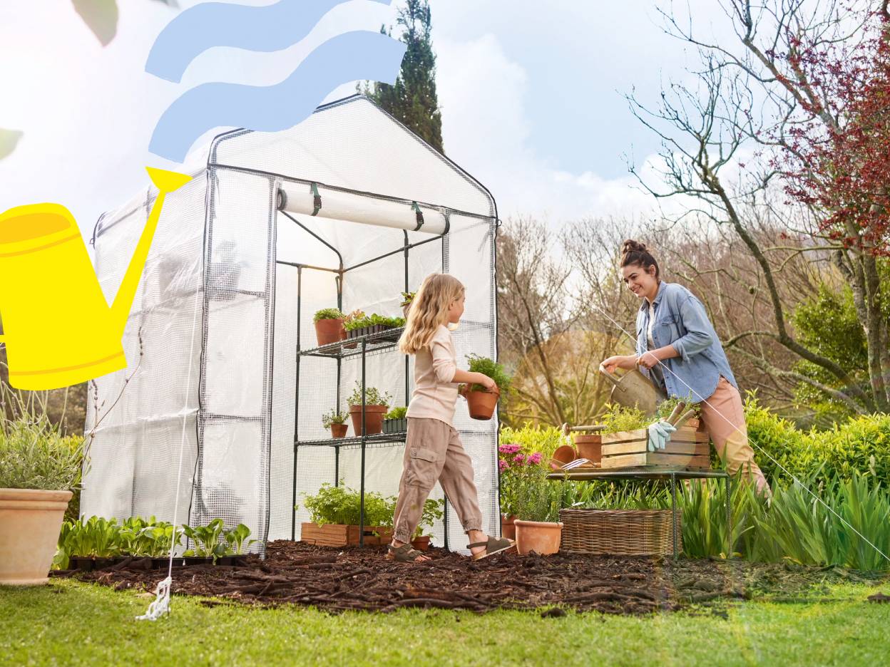 Moestuin & beplanting