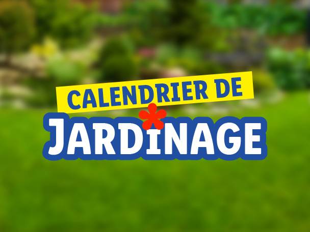 Calendrier de jardinage