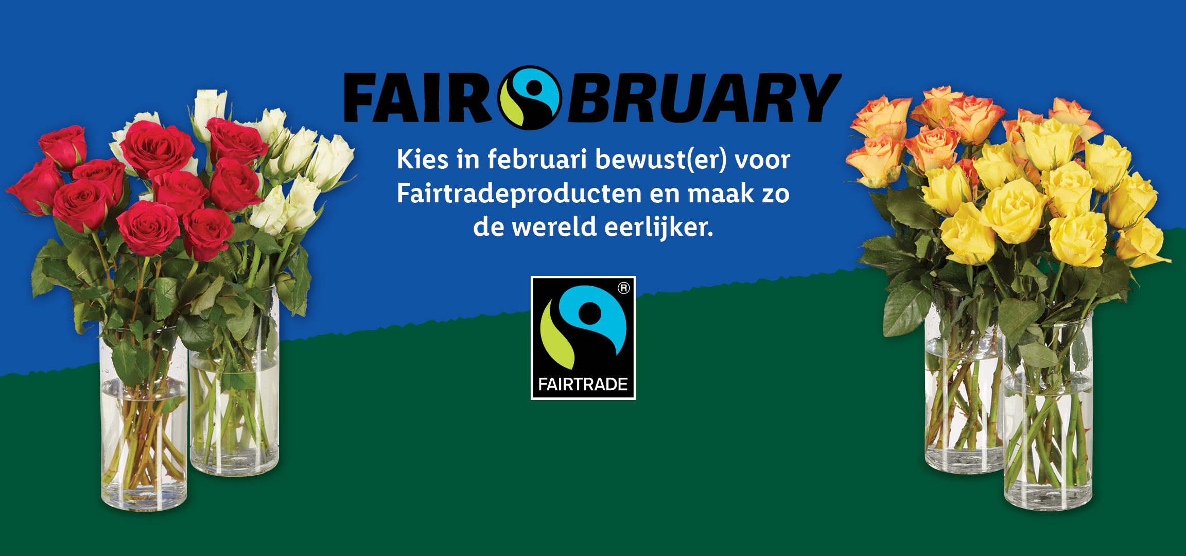 Vier vazen met rode, witte, gele en oranje rozen voor Fairbruary, met de tekst: 'Kies in februari bewust(er) voor Fairtrade-producten en maak zo de wereld eerlijker.'
