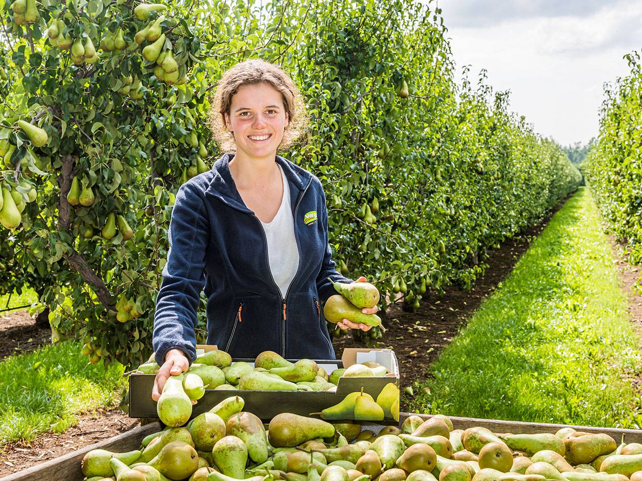 Cultivateur Ann-Sophie Noppe de la Hesbaye