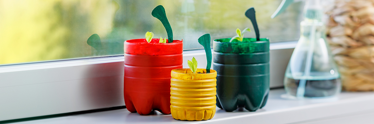 Planten in kleurrijke potten van gerecyclede flessen.
