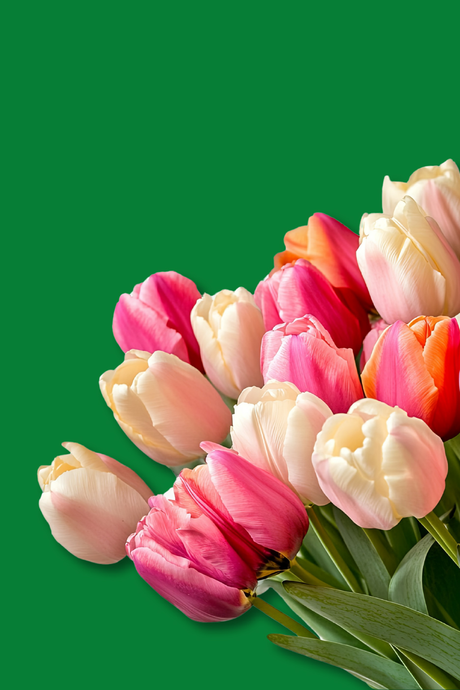 Een boeket roze, witte en oranje tulpen op een groene achtergrond.