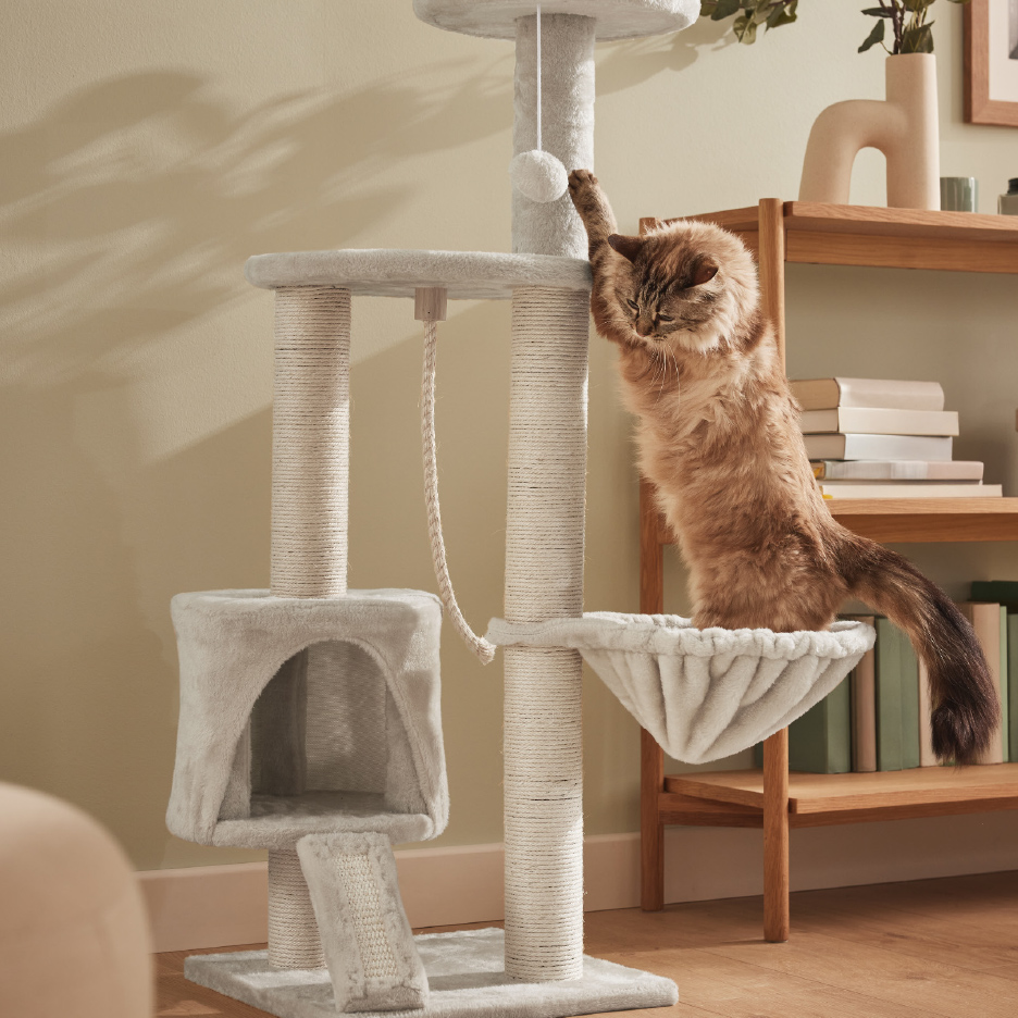 Een kat speelt op een grijze krabpaal met meerdere niveaus en een krabgedeelte.