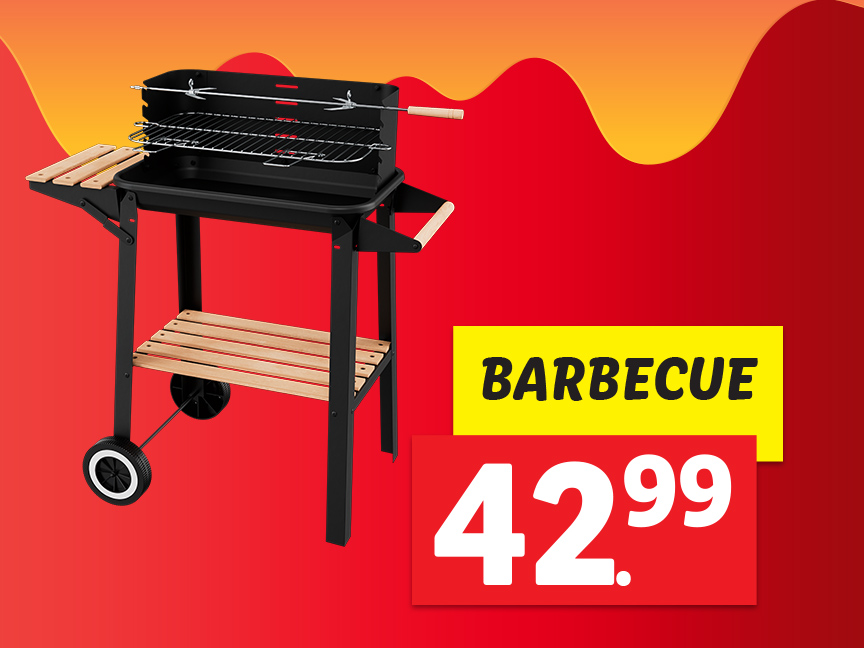 Barbecues & accessoires